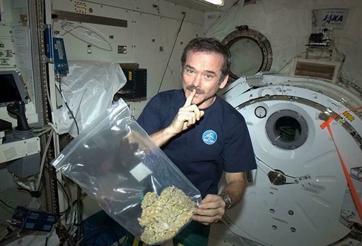 Chris Hadfield