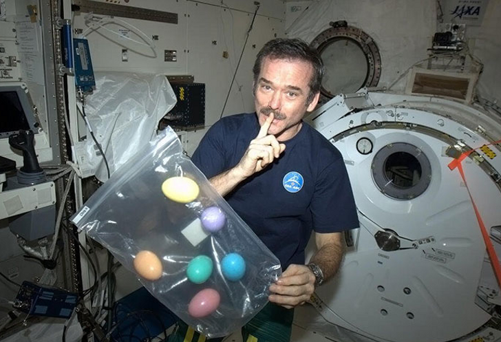Chris Hadfield (Original)